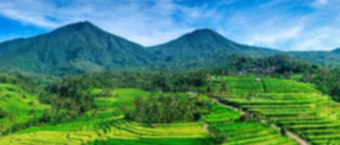 Ulun Danu Temple, Handara Gate & Jatiluwih Rice Terraces