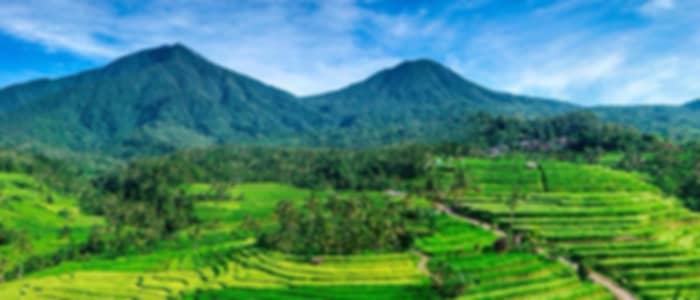 Ulun Danu Temple, Handara Gate & Jatiluwih Rice Terraces