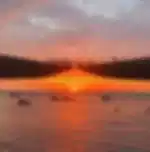 Discover SUNSET TOWN: KISS BRIDGE - SYMPHONY OF THE SEA - FIREWORKS SIC
