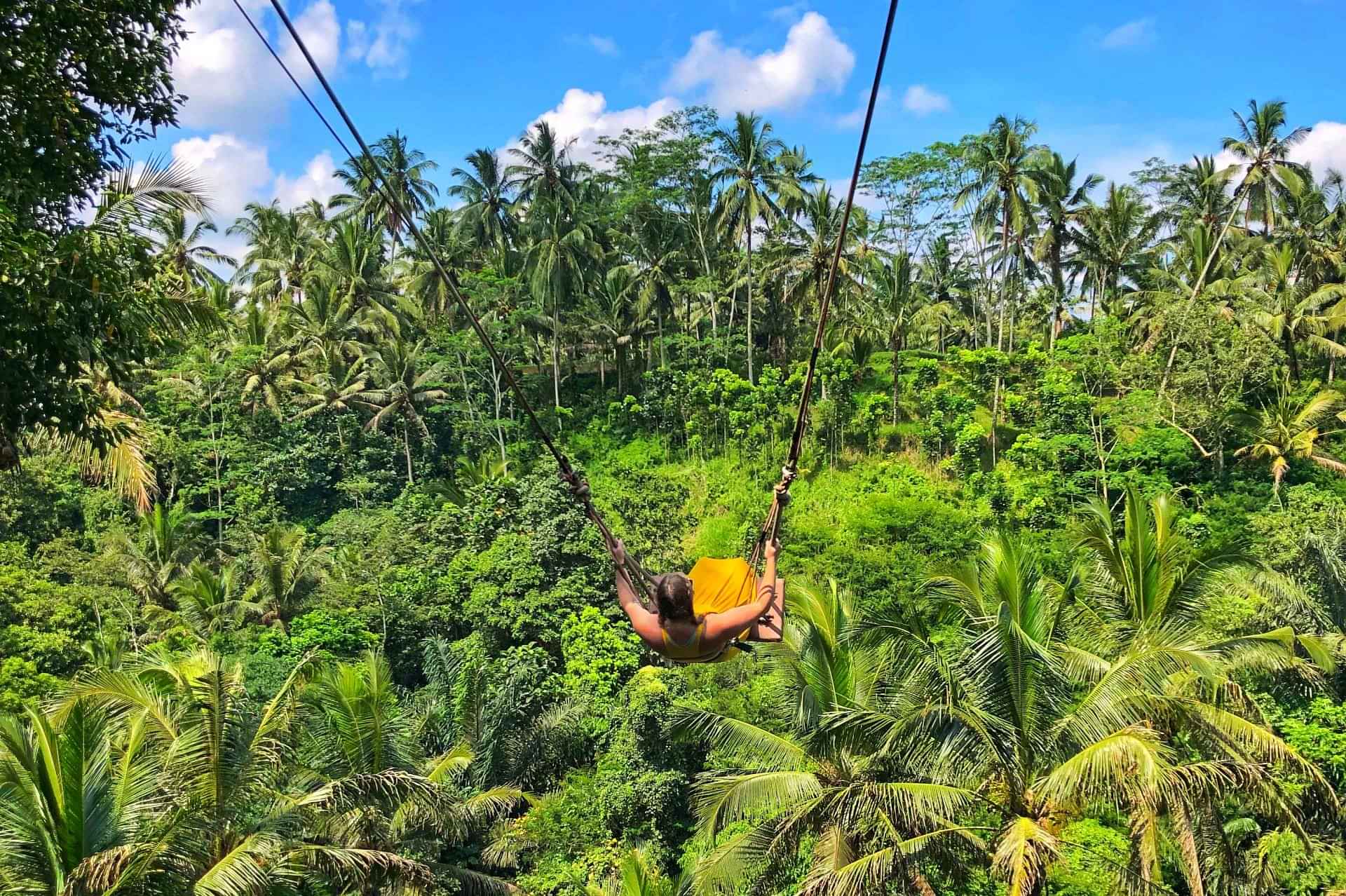 Bali Swing and Waterfall with Ubud Palace full day Ubud tour  (Nt possible)