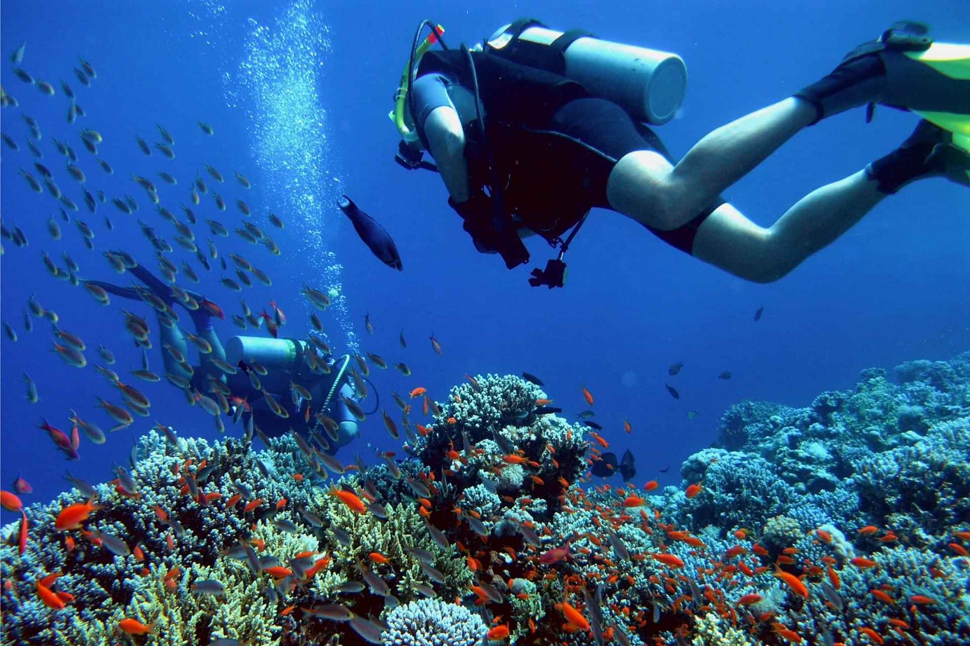 Scuba + Parasailing + Flying Fish Combo