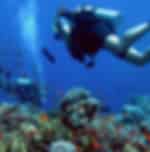 Scuba + Parasailing + Flying Fish Combo