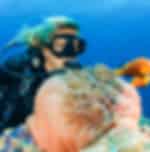 3-Days PADI Open Water Scuba Diving Certification Course at Liberty Shipwreck Bali with Private Transfer