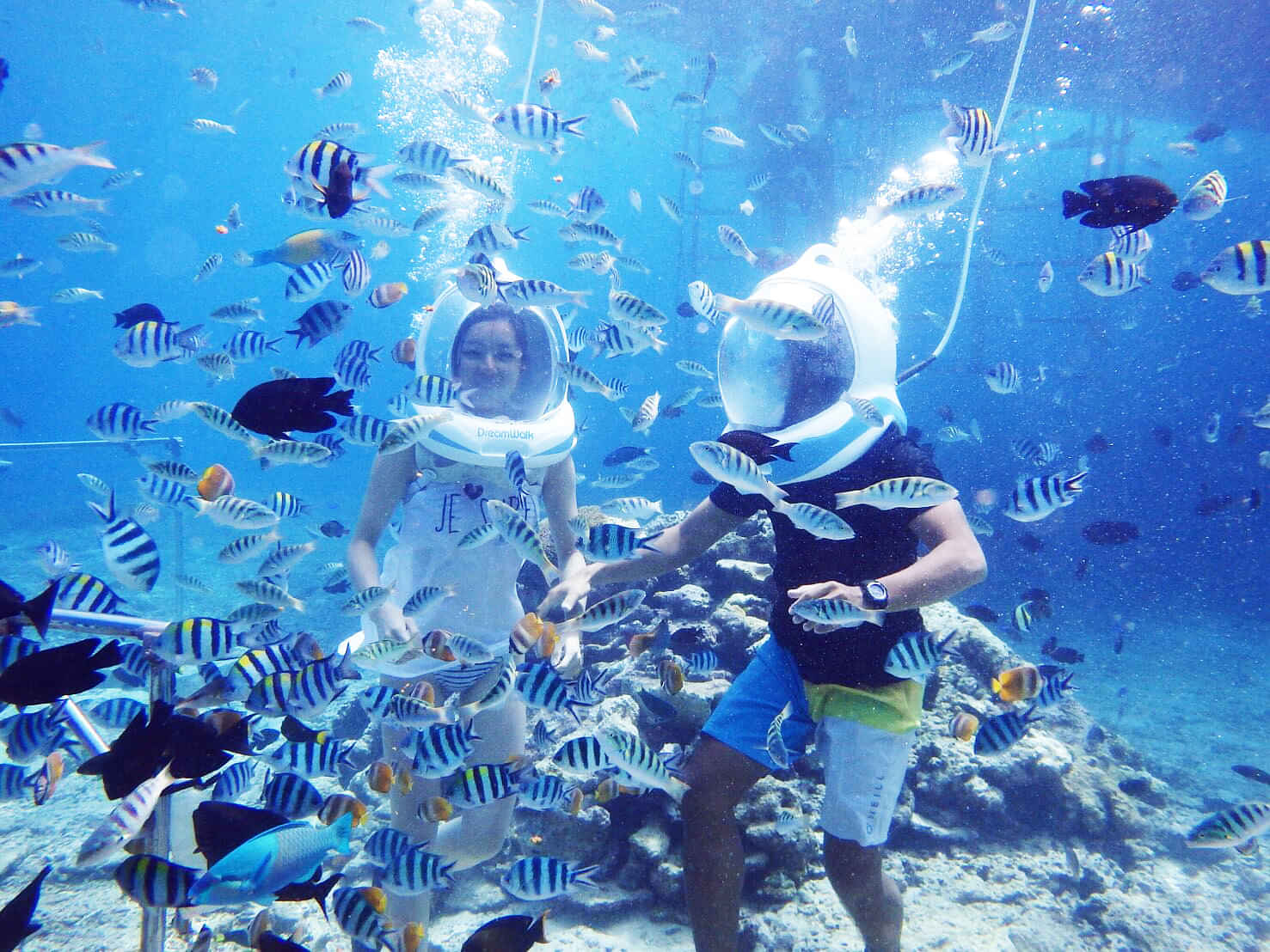 Banana Boat, Jet Ski, Scuba Diving, Parasailing+Padang-padang+Uluwatu - Private Transfers