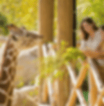 Safari World & Marine Park with Shared Transfer