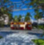 Miami Discover - Big Bus