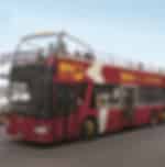 Sensational Sydney and Bondi Hop-on Hop-off Tour inclusive of ever beautiful Circular Quay and other essential hubs