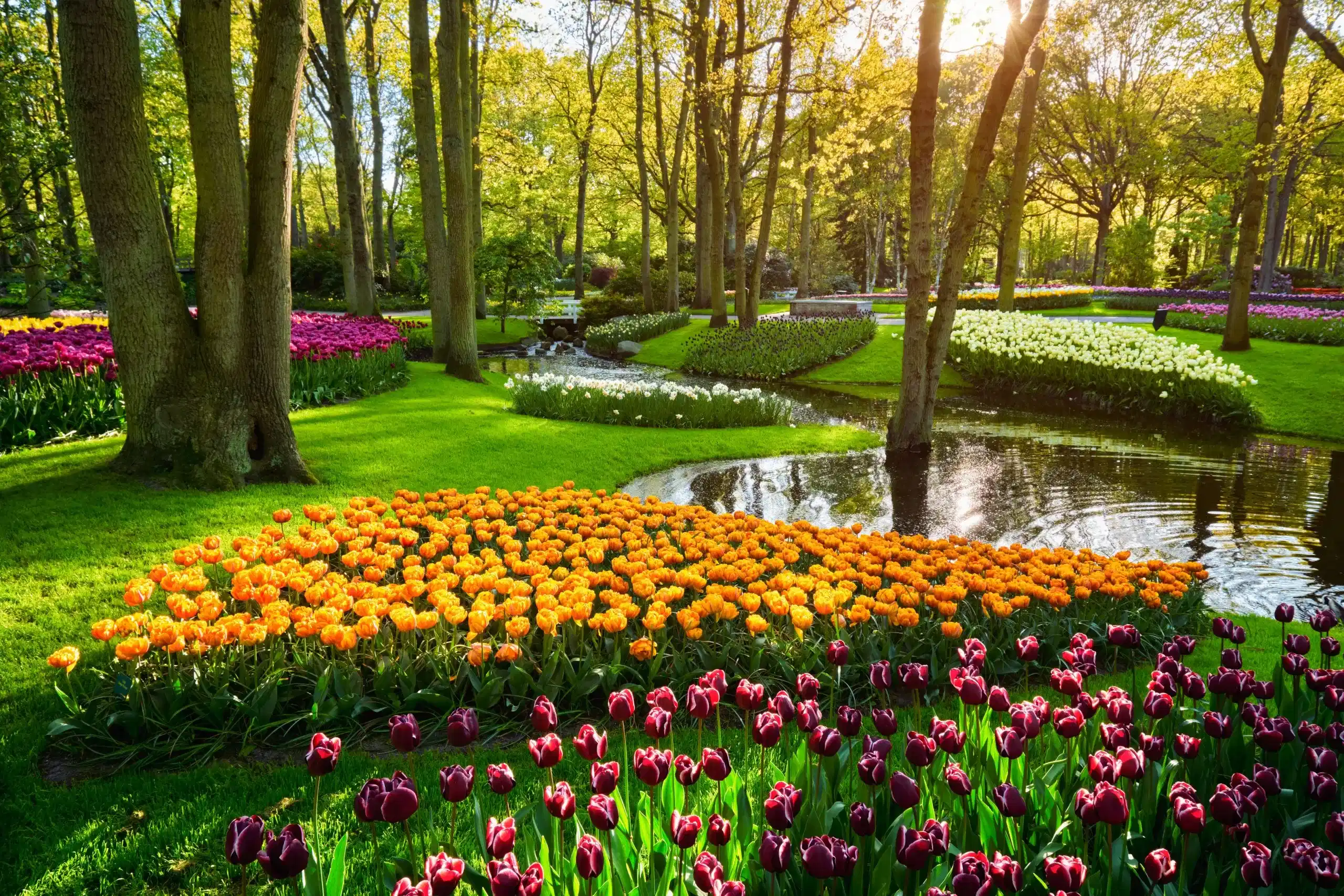 Enroute Paris - Visit Grand Place and Manneken Pis statue, Visit Keukenhof Gardens (till 11th May). Visit the miniature park and Mini Europe. (from 12th May)
