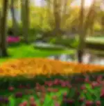 Enroute Paris - Visit Grand Place and Manneken Pis statue, Visit Keukenhof Gardens (till 11th May). Visit the miniature park and Mini Europe. (from 12th May)