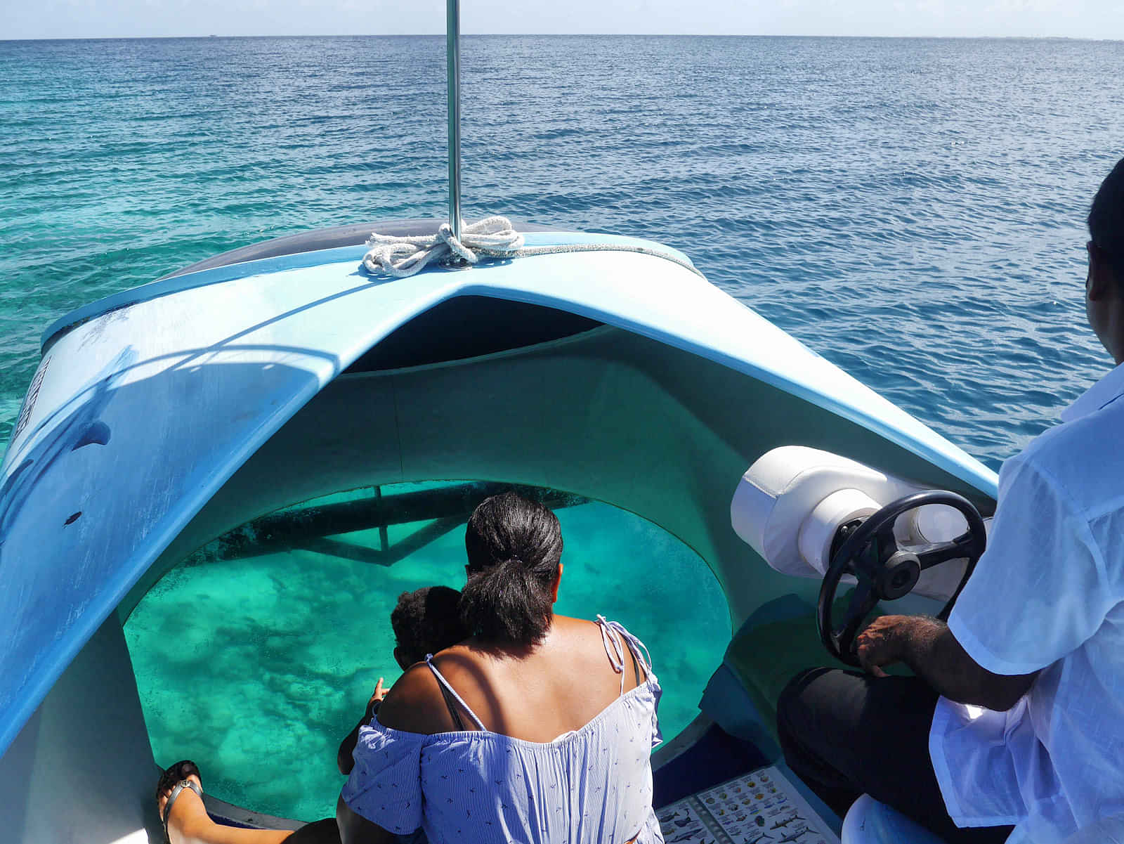 Glass Bottom Boat