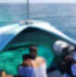 Glass Bottom Boat