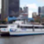 Brisbane Express River Cruise and Koala Sanctuary Visit