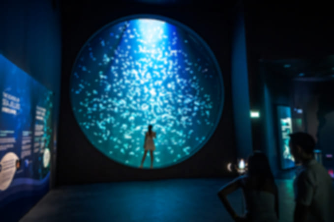 Sentosa Combo: Cable Car, Singapore Oceanarium and Wings of time on shared transfer