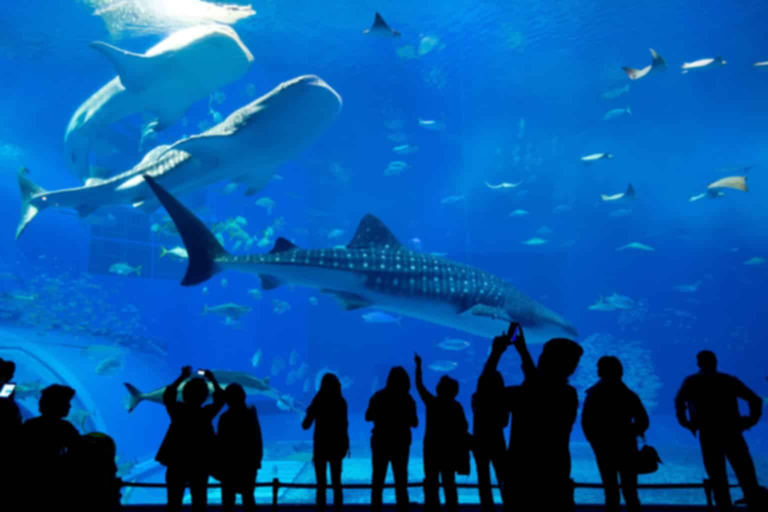 Itinerary gallery 1