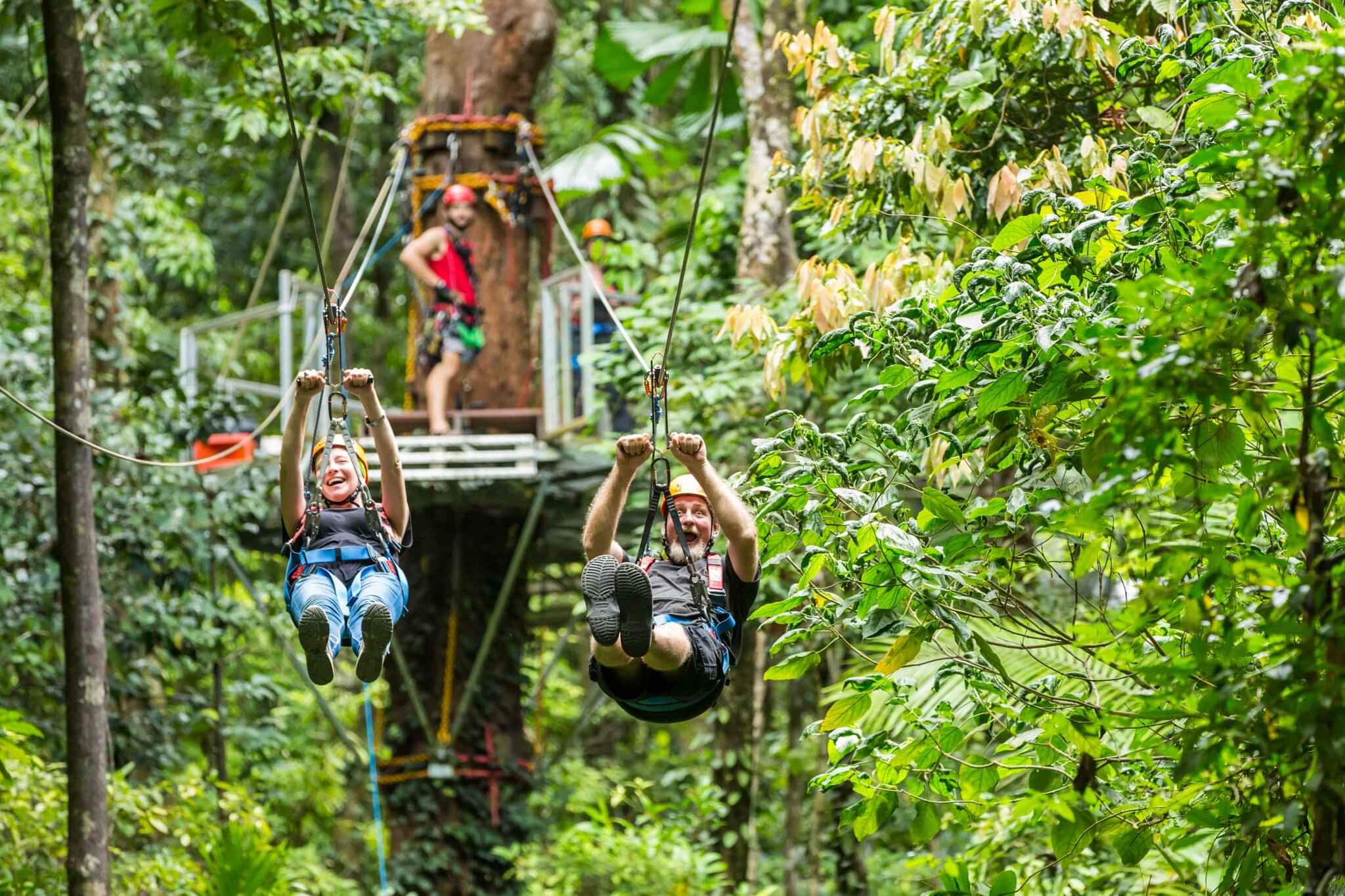 Cape Tribulation & Daintree Rainforest Tour