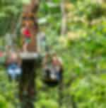 Cape Tribulation & Daintree Rainforest Tour