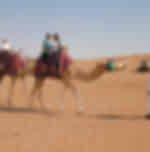 Platinum Heritage Desert Safari