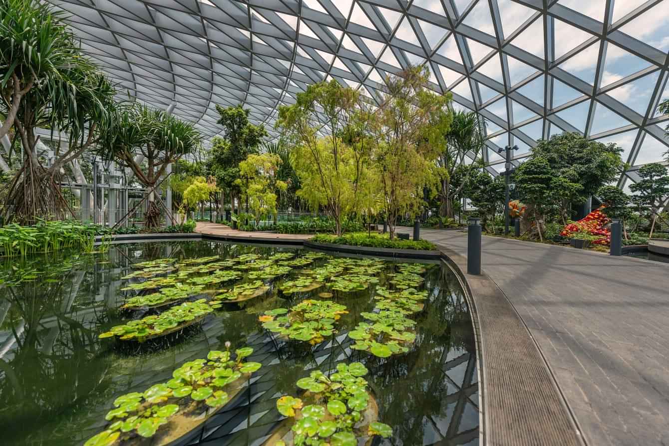 Jewel Changi Airport (Canopy Park)