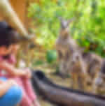 Singapore Zoo and Bird Paradise on SIC Basis