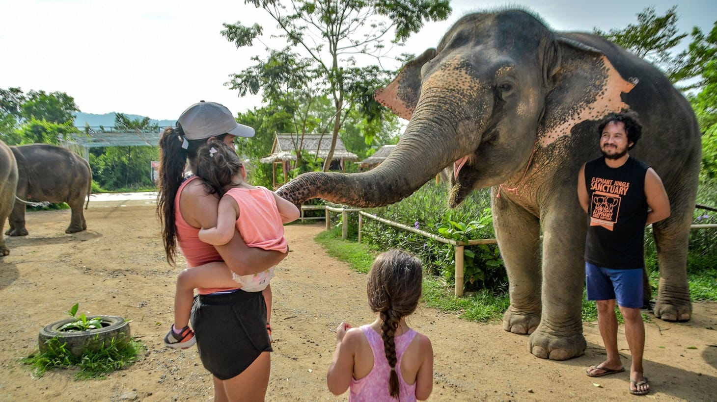 Phuket - Elephant Jungle Sanctuary Half Day with Lunch (Private Transfer)
