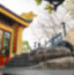 Dinh Cau Rock Temple - Night Market with private transfer - DINH CAU ROCK TEMPLE - NIGHT MARKET