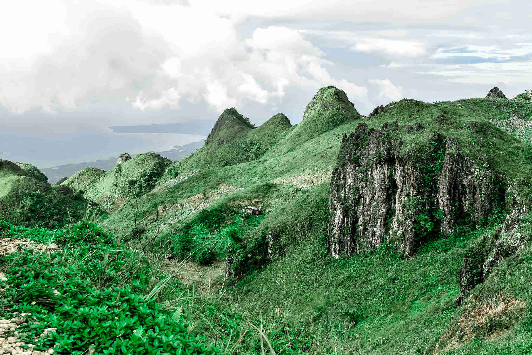 Cebu Kawasan Waterfalls & Osmena Peak Day Tour