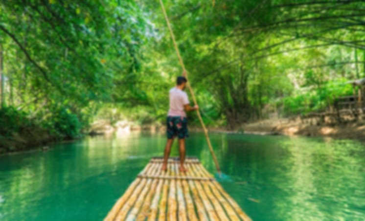 Phuket-Program A - Suwankuha Temple 20 min and Bamboo Rafting, Visit Sea Turtle conservation Center with Lunch and Elephant Bathing 15 Mins and Jungle walk to waterfall (Shared Transfer)