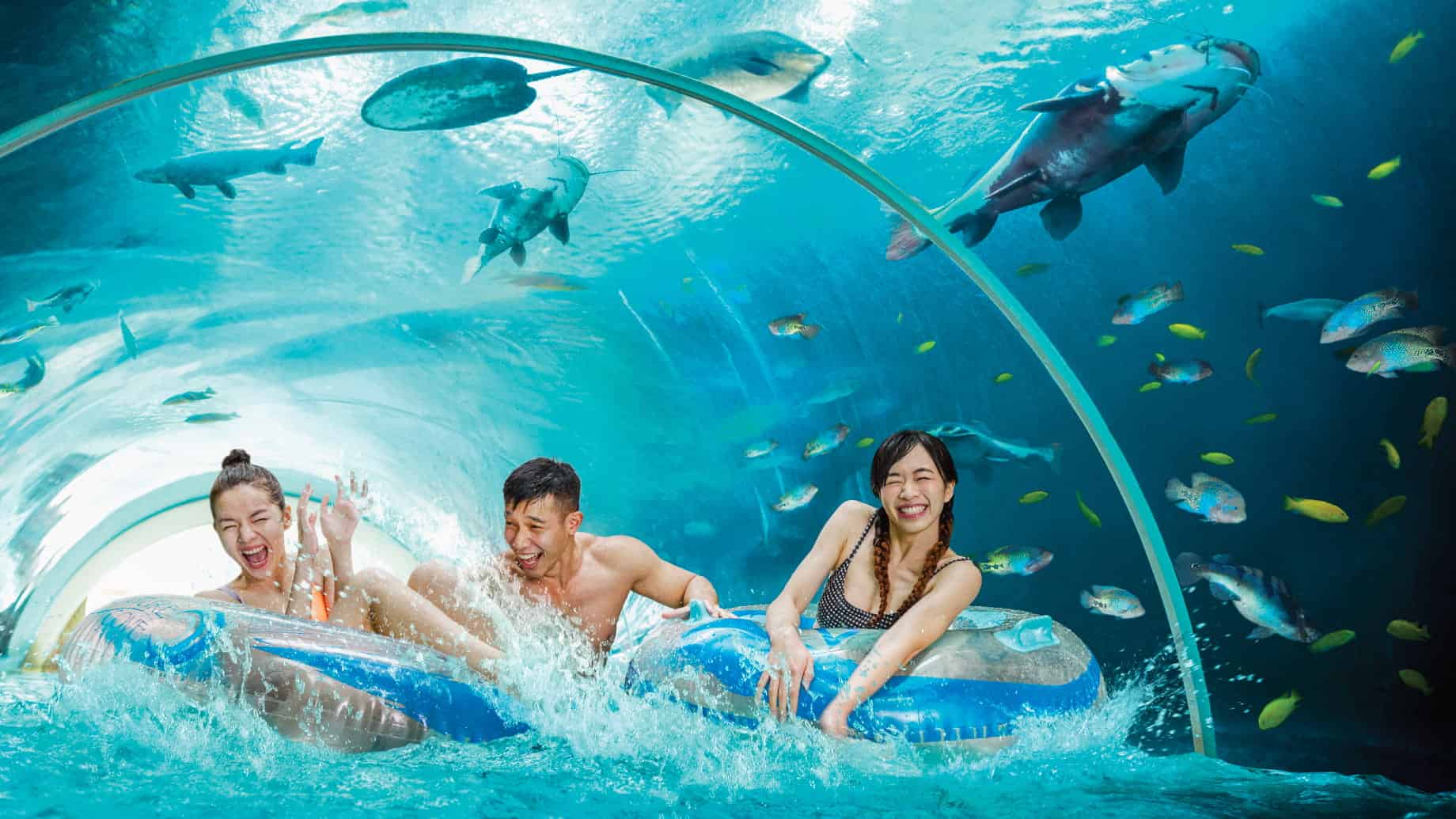 Sentosa : Cable Car,  Adventure Cove waterpark and Singapore Oceanarium on shared transfers 