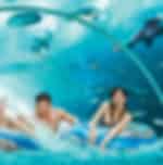 Sentosa : Cable Car, Adventure Cove waterpark and Singapore Oceanarium on shared transfers