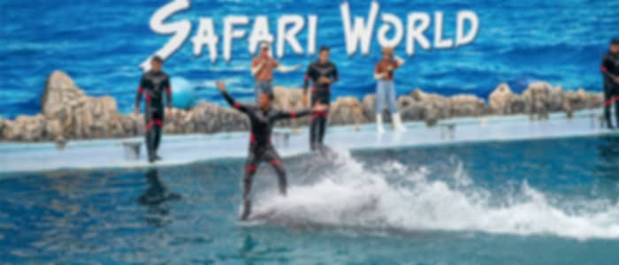 Bangkok - Safari World & Marine Park With lunch With Shared Transfer (Not Operational on Mondays) - Pratunam & Sukhumvit 1-49 Area