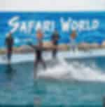 Bangkok - Safari World & Marine Park With lunch With Shared Transfer (Not Operational on Mondays) - Pratunam & Sukhumvit 1-49 Area
