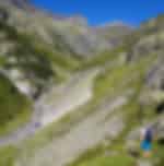 Wildlife observation - Hiking day