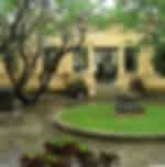 Cham Museum and Transfer Round-trip