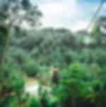 Ultimate Bali Experience, Swing at Bali Swing, River Rafting with Lunch and ATV Single ride at Bali Tarantula ATV (1 vehicle for 1 pax)