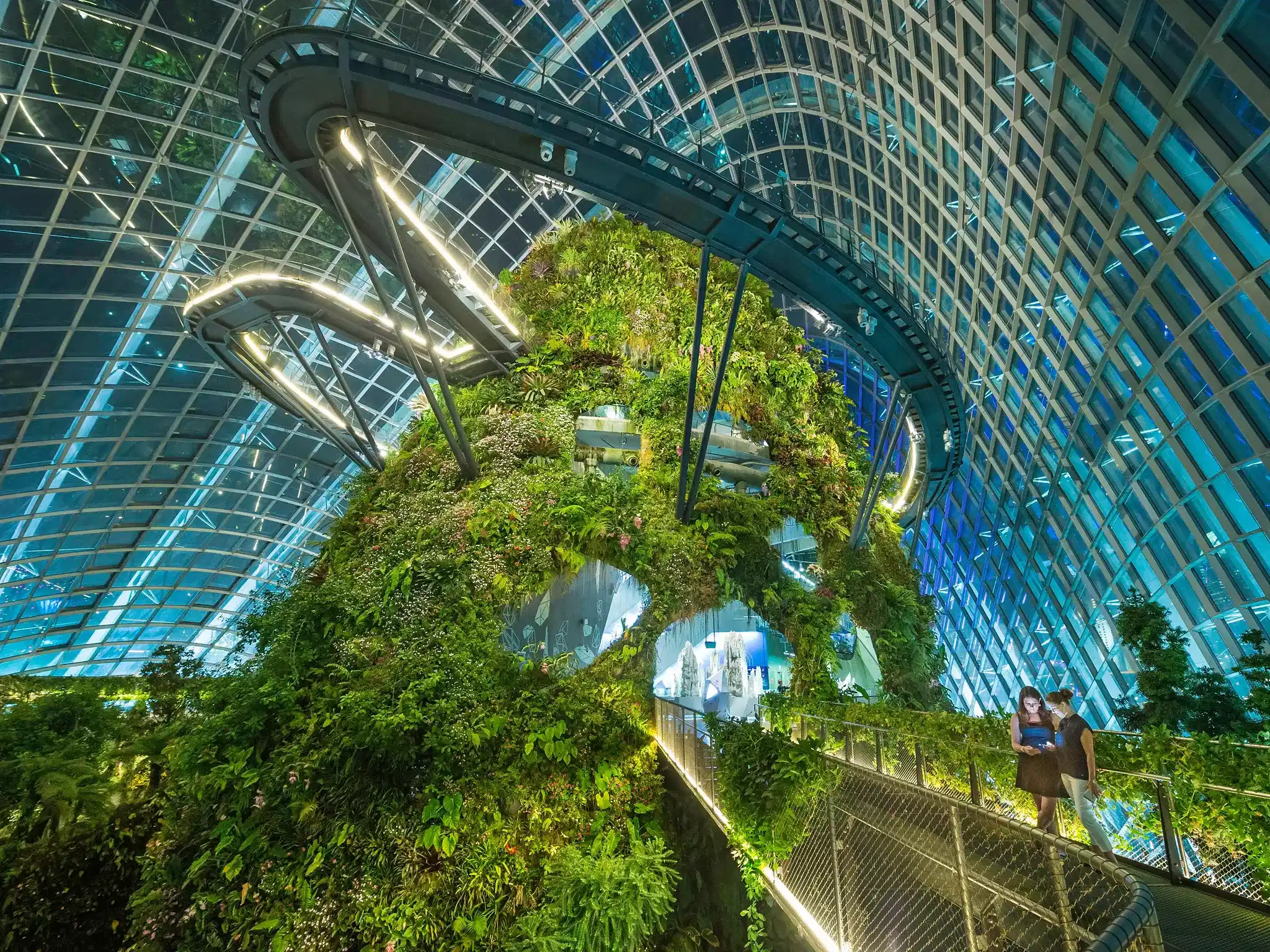 Gardens By The Bay (Cloud Forest + Supertree) - Ticket only