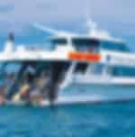 Compass Cruise Reef Experience