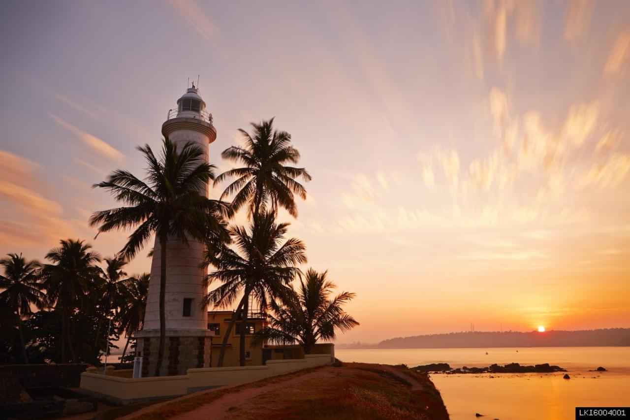 Bentota city tour : Experience Madhu River Ride,Turtle Hatchery & Water sports 