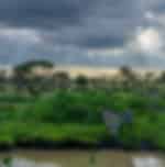 Full Day Game Drives at Serengeti National Park