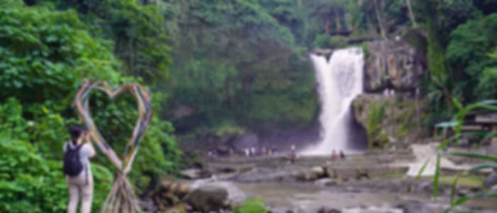 Ubud Art Market, Coffee Plantation and Tegenungan Waterfall With Private Transfers