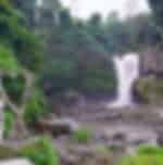 Ubud Art Market, Coffee Plantation and Tegenungan Waterfall With Private Transfers