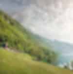 Interlaken City Tour - Interlaken City Tour