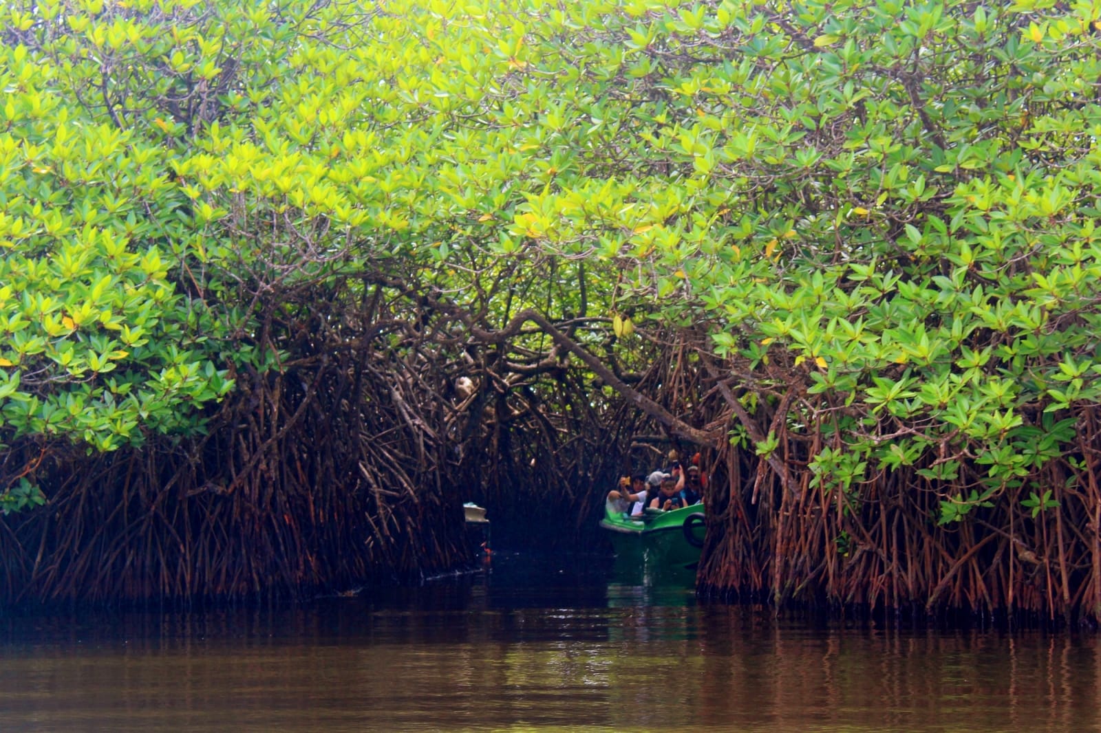 Bentota City Tour With Inclusive Of Watersport Activities