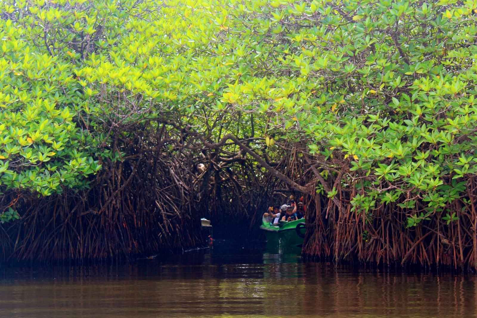 Bentota City Tour With Inclusive Of Watersport Activities