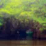 Bentota City Tour With Inclusive Of Watersport Activities