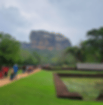 Dambulla and Sigiriya Cultural Day Tour - Dambulla Cave Temple and Sigiriya Rock Fortress