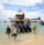 Phuket-Phi Phi Island by ferry boat with Lunch and Including Island Fee with shared Transfer