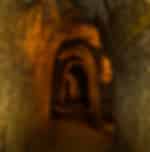 Saigon Full Day Cu Chi Tunnels Mekong My Tho SIC by Limousine