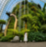 Gardens by the Bay Ticket Only