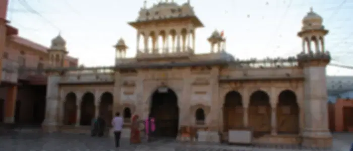 Bikaner Camel Breeding Farm