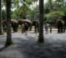 Indonesia 6 Nights 7 Days Backpacker Edition Itinerary